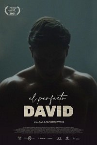 Идеальный Давид (2021)