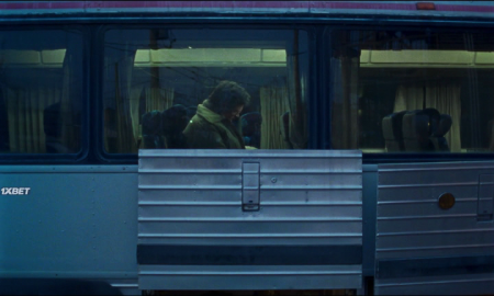   (2024)