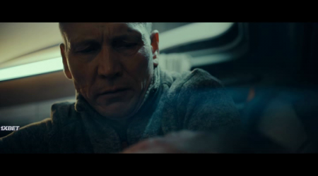 (2025)
