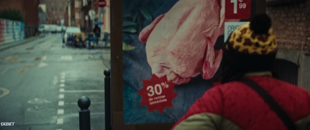   (2025)
